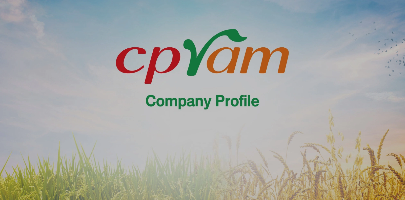 CPRAM Company Profile
