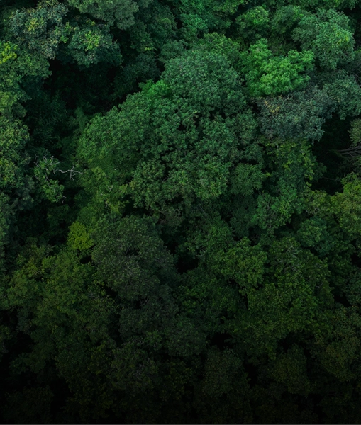 CPRAM Sustainability