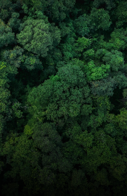 CPRAM Sustainability