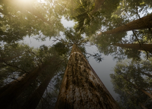 CPRAM Sustainability