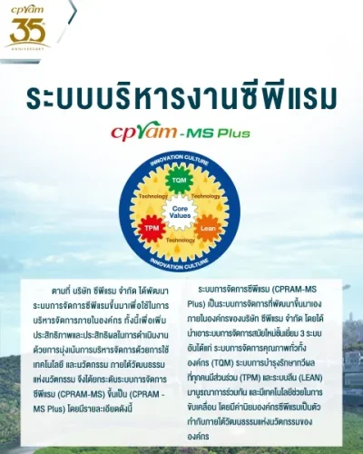 Banner 7