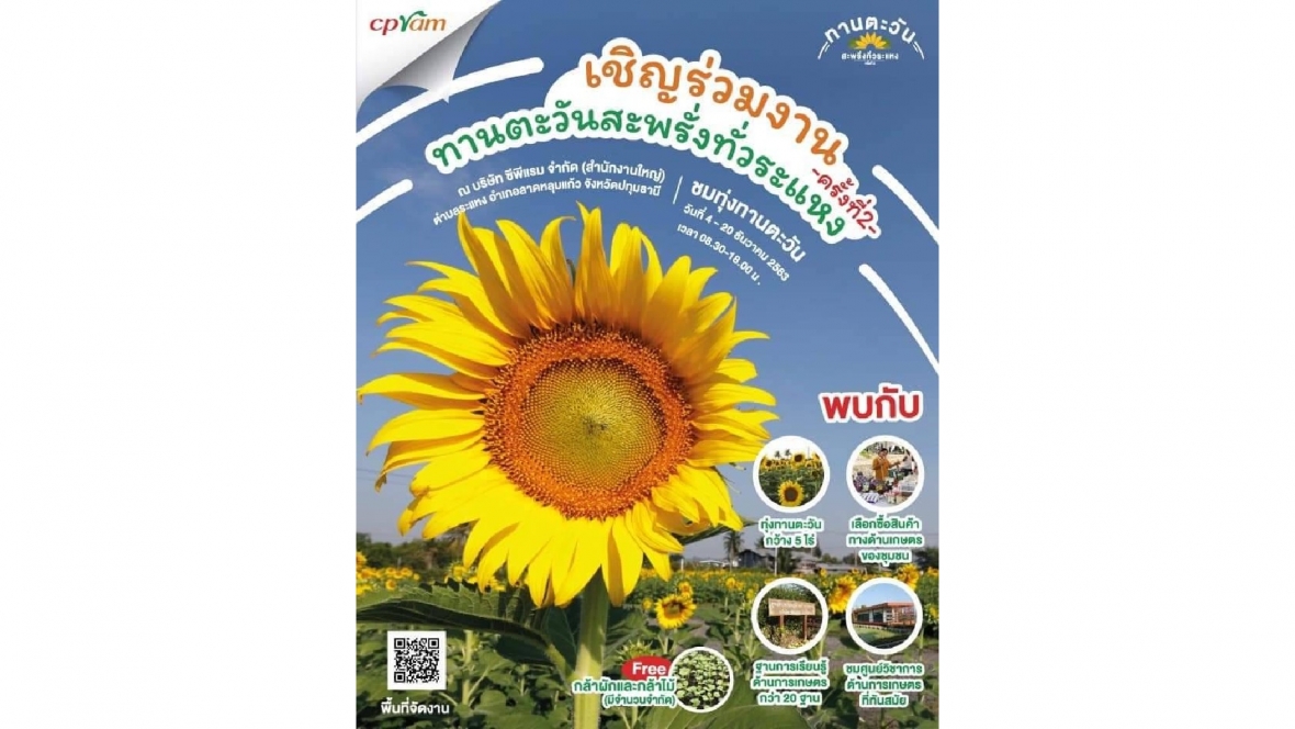 ซีพีแรม ขอเชิญชวนเยี่ยมชมแลนด์มาร์คใหม่จังหวัดปทุมธานี และงานทานตะวันสะพรั่งทั่วระแหง ครั้งที่ 2 ตั้งแต่วันที่ 4 - 20 ธันวาคม 2563 ณ บริษัท ซีพีแรม จำกัด สำนักงานใหญ่
