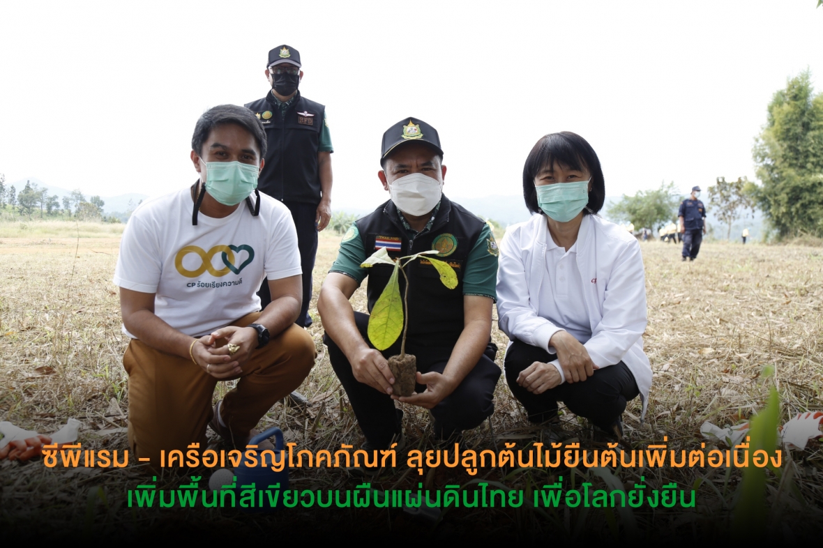 ซีพีแรม - เครือเจริญโภคภัณฑ์ ลุยปลูกต้นไม้ยืนต้นเพิ่มต่อเนื่อง เพิ่มพื้นที่สีเขียวบนผืนแผ่นดินไทย เพื่อโลกยั่งยืน