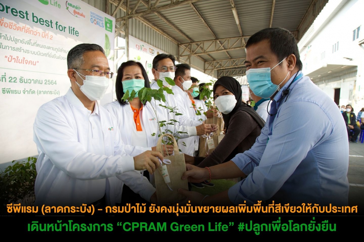 ซีพีแรม (ลาดกระบัง) - กรมป่าไม้ ยังคงมุ่งมั่นขยายผลเพิ่มพื้นที่สีเขียวให้กับประเทศ เดินหน้าโครงการ “CPRAM Green Life” #ปลูกเพื่อโลกยั่งยืน