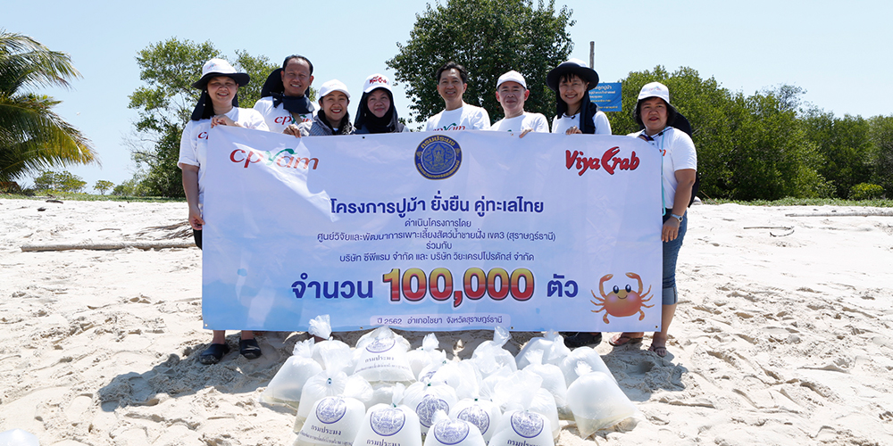ซีพีแรม ร่วมอนุรักษ์พันธุ์สัตว์น้ำทะเล ปล่อยลูกพันธุ์ปูม้ากว่า 100,000 ตัว คืนสู่ธรรมชาติ